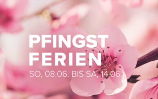 2025 06 tsg pfingstferien website 01
