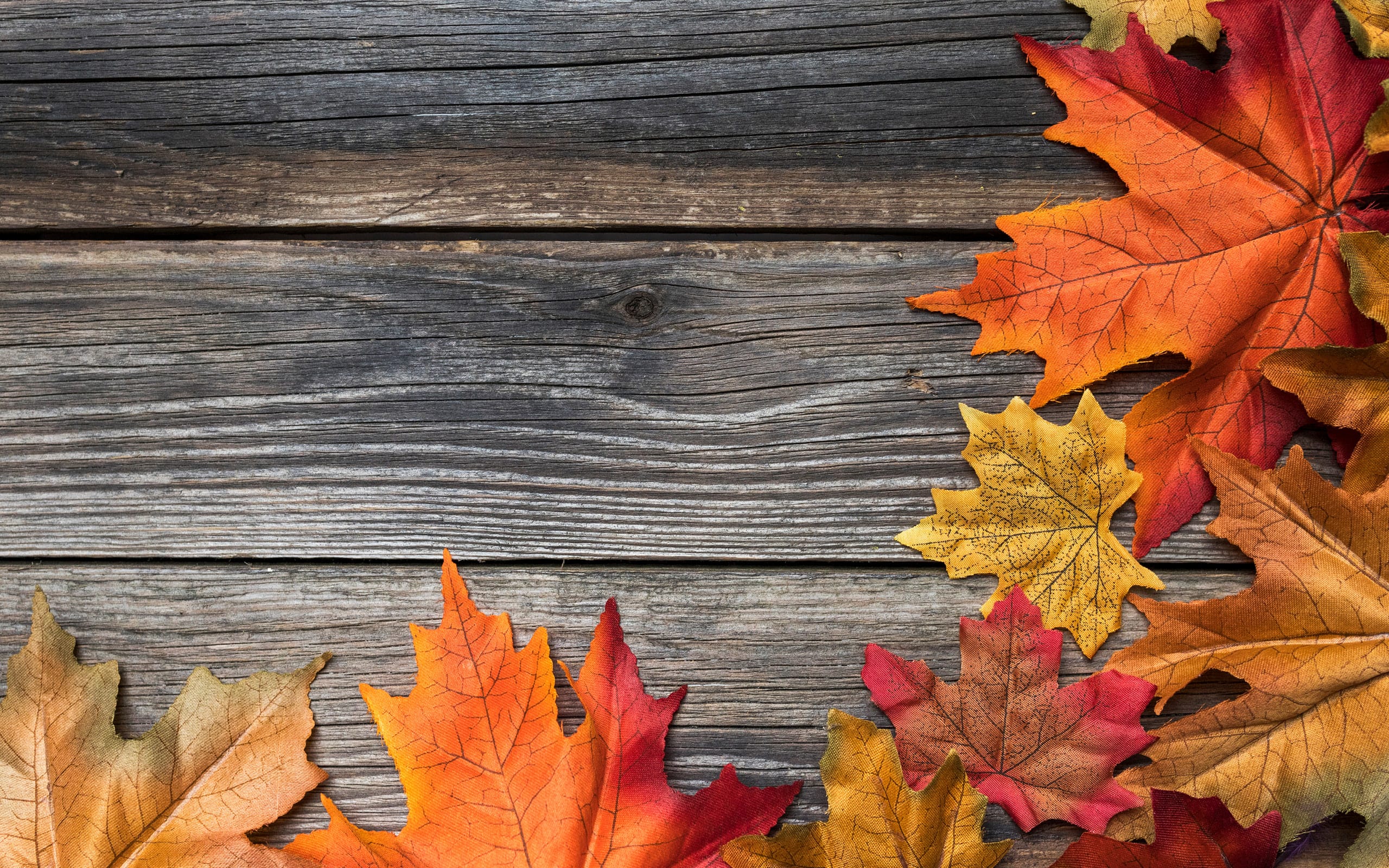 2024_10_hinweis_herbstferien2 2024 10 hinweis herbstferien2