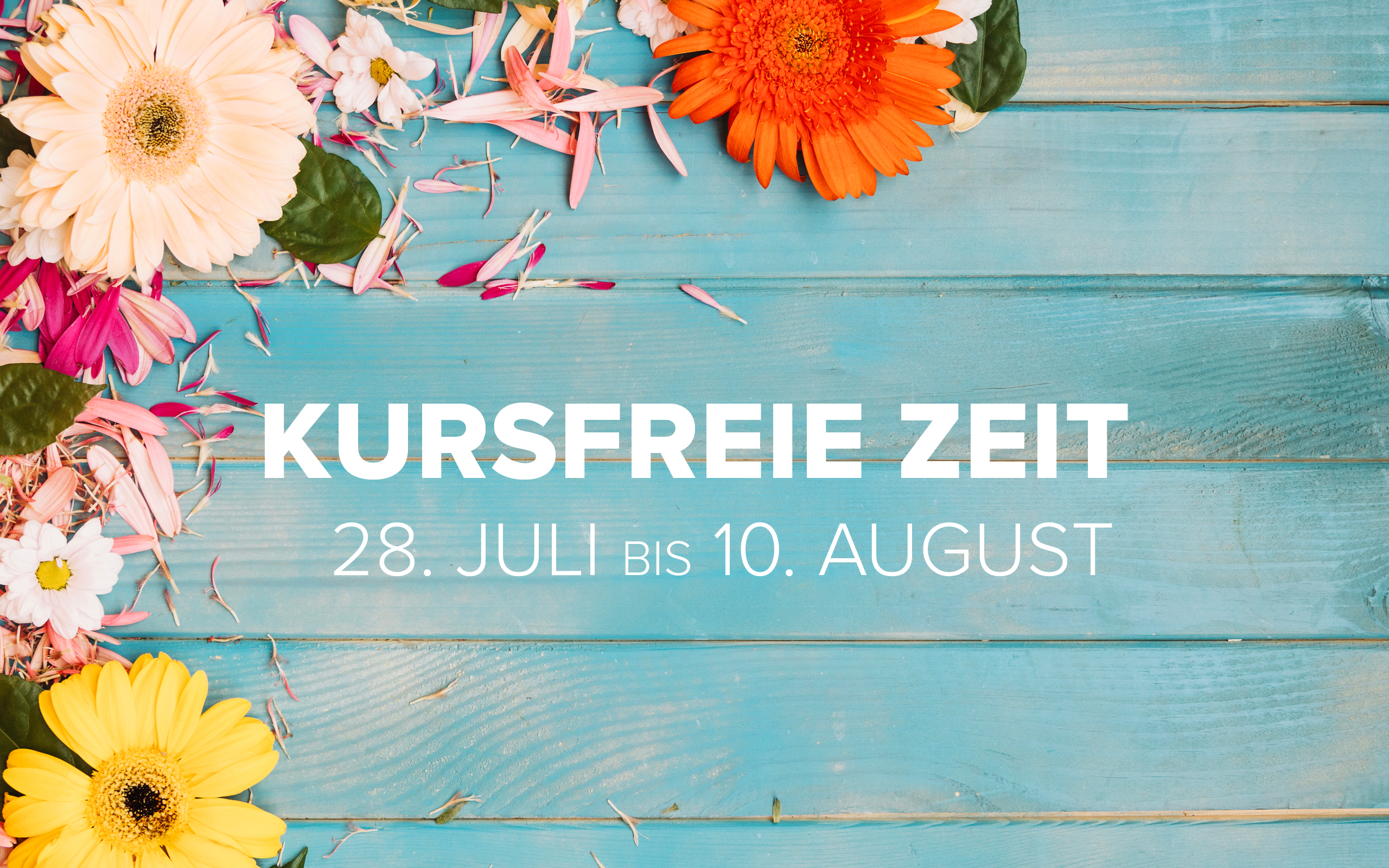 2025 07 tsg kursfrei sommer website